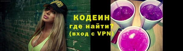 шишки Лабытнанги