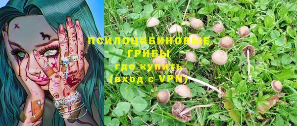 экстази Ладушкин