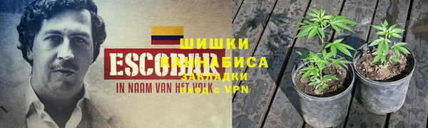 шишки Лабытнанги