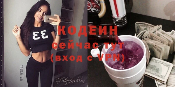 шишки Лабытнанги