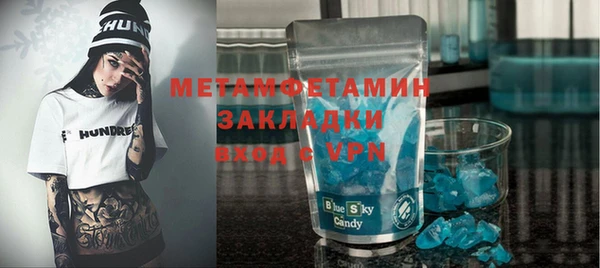шишки Лабытнанги