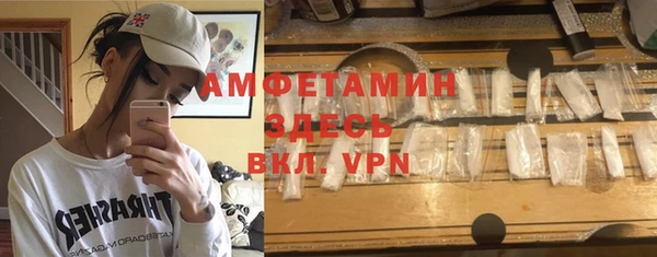 шишки Лабытнанги